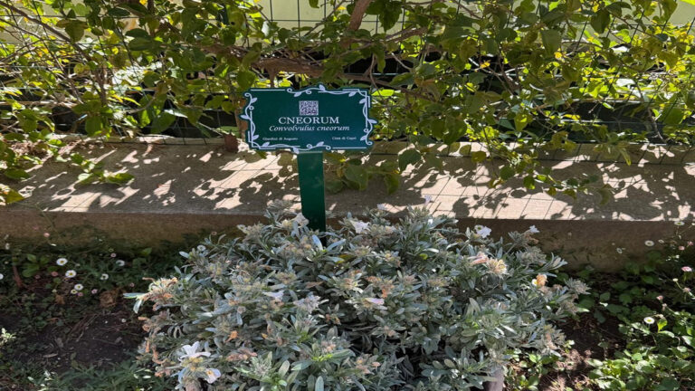 marcatore giardino in ferro verniciato con stampa digitale