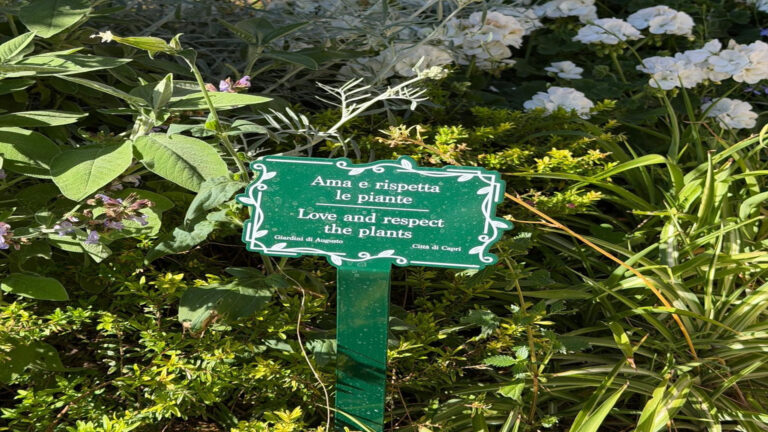 particolare di marcatore da giardino